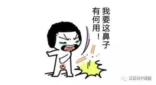 科宁中央新风系统 科宁中央新风系统